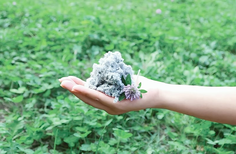 セルロースファイバーのイメージ