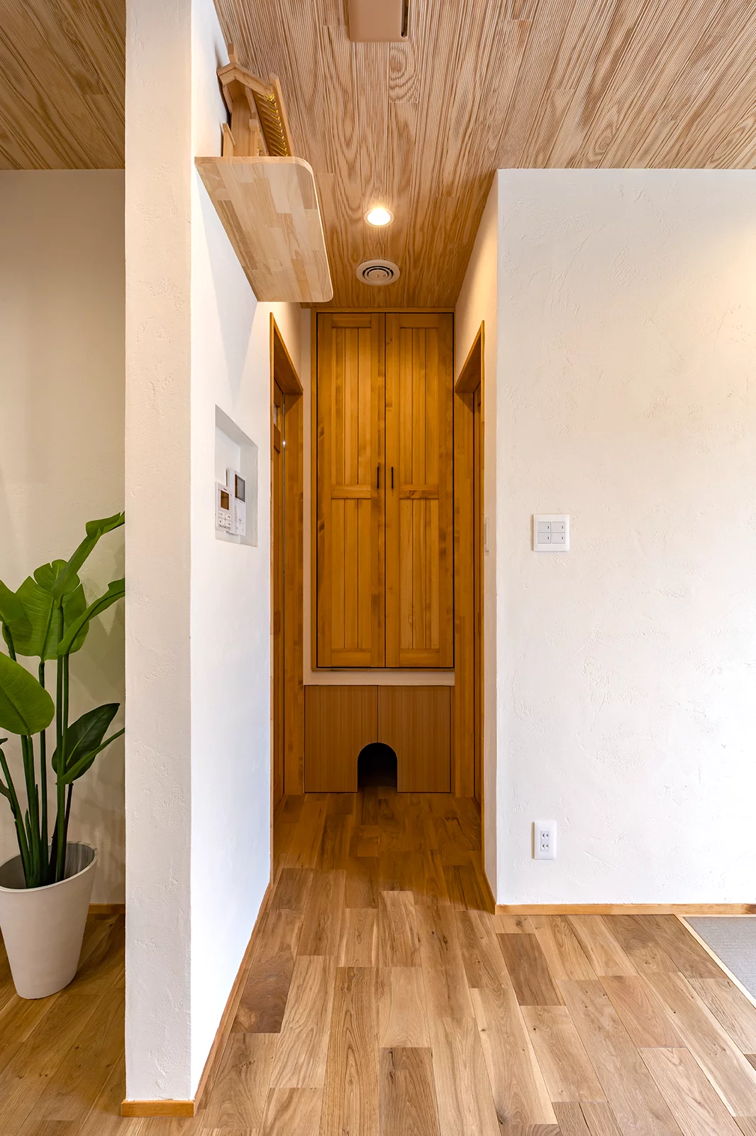 無彩色モダン・漆喰の家